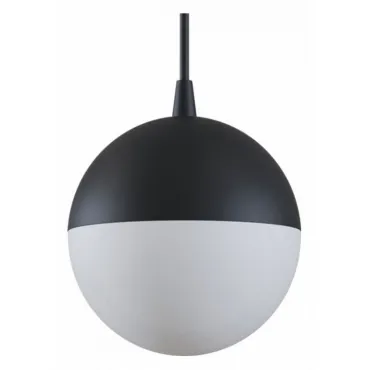 Подвесной светильник Maytoni Track lamps TR018-2-10W3K-B Цвет арматуры черный Цвет плафонов черно-белый