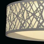 Потолочный светильник MW-Light Ривз 674012501