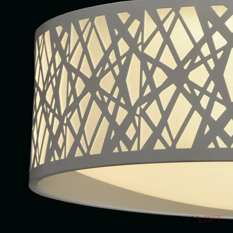 Потолочный светильник MW-Light Ривз 674012501