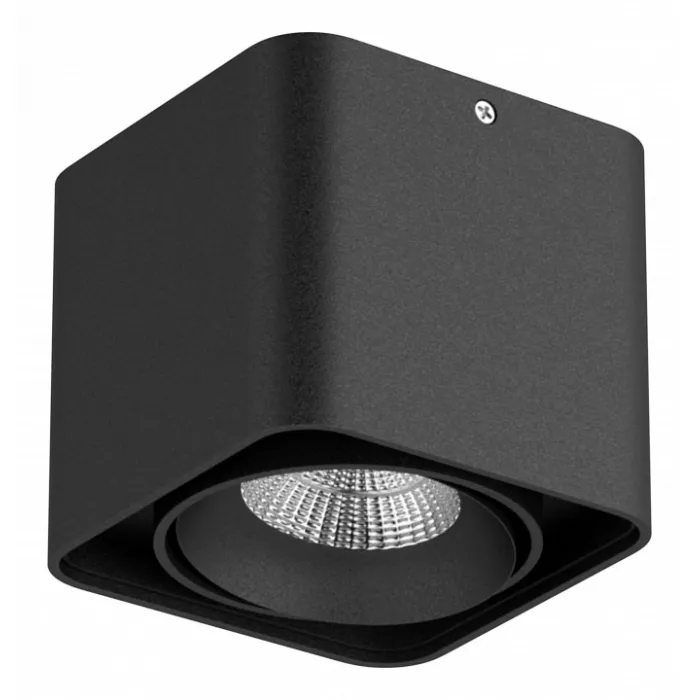 Накладной светильник Lightstar Monocco 212517 от ImperiumLoft
