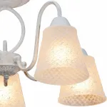 Потолочная люстра TopLight Jaclyn TL1141-5H 