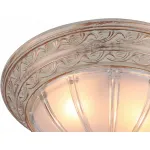 Потолочный светильник Arte Lamp Piatti A8014PL-2WA 