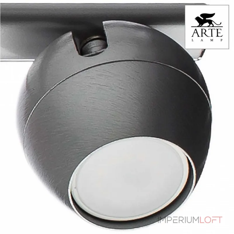 Спот Arte Lamp Sfera A5781PL-4SS Цвет арматуры серебро Цвет плафонов серебро Спот Arte Lamp Sfera A5781PL-4SS Цвет арматуры серебро Цвет плафонов серебро