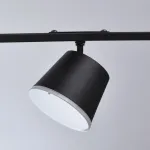 Подвесной светильник MW-Light Гэлэкси 12 632015005 Цвет арматуры черный Цвет плафонов черный от ImperiumLoft