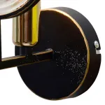 Бра TopLight Roxana TL1194B-01BK Цвет арматуры золото Цвет плафонов прозрачный