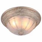 Потолочный светильник Arte Lamp Piatti A8014PL-2WA 