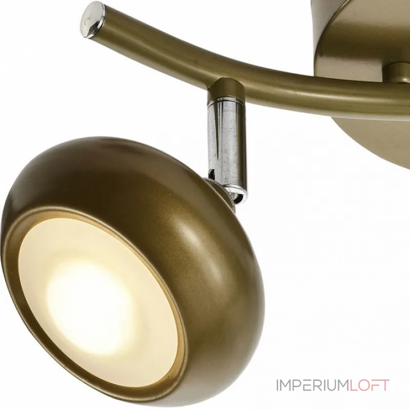 Спот TopLight Carissa TL1244Y-02SG Цвет арматуры золото Цвет плафонов золото от ImperiumLoft Спот TopLight Carissa TL1244Y-02SG Цвет арматуры золото Цвет плафонов золото от ImperiumLoft