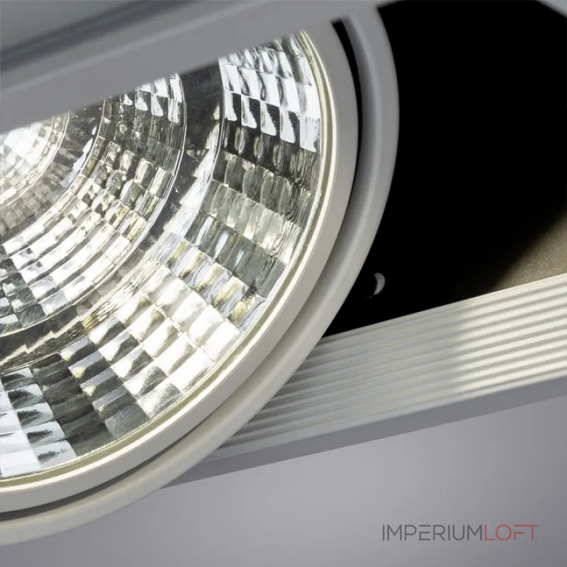 Встраиваемый светильник Arte Lamp Merga A8450PL-2WH Цвет арматуры Белый