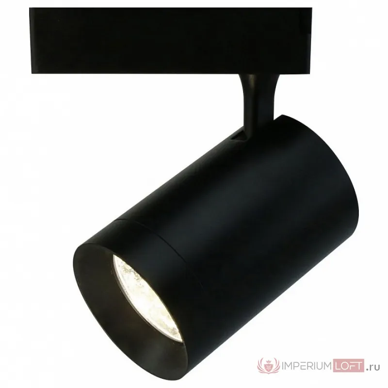 Светильник на штанге Arte Lamp Track Lights A1730PL-1BK Цвет арматуры черный Цвет плафонов черный от ImperiumLoft