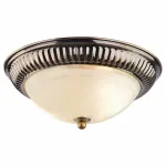 Потолочный светильник Arte Lamp Alta A3016PL-2AB 