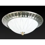 Потолочный светильник TopLight Paulina TL5050Y-02AB 
