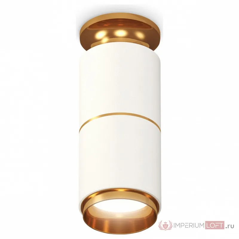 Накладной светильник Ambrella Techno Spot 170 XS6301260 Цвет арматуры золото Цвет плафонов золото от ImperiumLoft