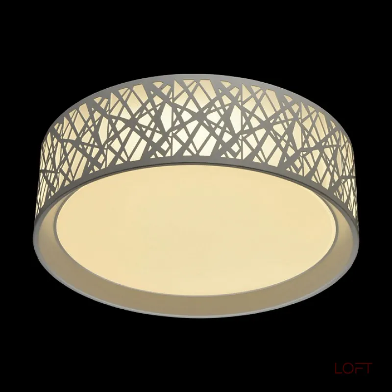 Потолочный светильник MW-Light Ривз 674012501