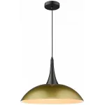 Подвесной светильник Wertmark Pina WE271.01.406