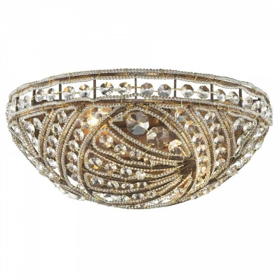 Потолочный светильник Wertmark Francess 1 WE312.02.501