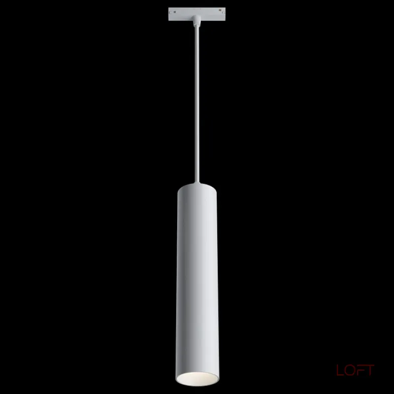 Подвесной светильник Maytoni Track lamps TR016-2-12W4K-W