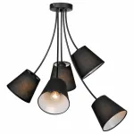 Люстра на штанге Lussole Lafayette LSP-8266