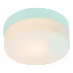Потолочный светильник Arte Lamp Aqua A3211PL-1WH