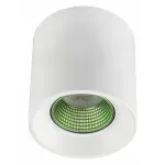 Накладной светильник Denkirs DK3020WGR DK3090-WH+GR Цвет плафонов белый