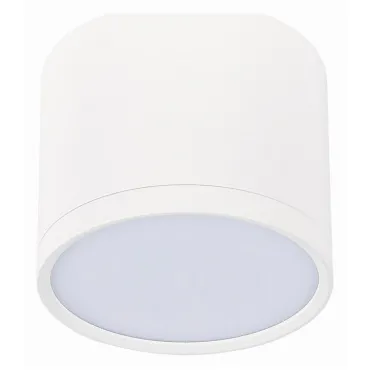 Накладной светильник ST-Luce Rene ST113.532.09 Цвет арматуры белый Цвет плафонов белый