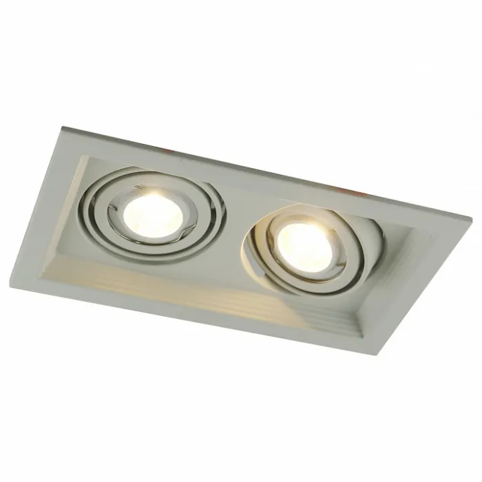 Встраиваемый светильник Arte Lamp 6661 A6661PL-2WH Цвет арматуры белый Цвет плафонов черно-белый от ImperiumLoft