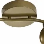 Спот TopLight Carissa TL1244Y-02SG Цвет арматуры золото Цвет плафонов золото от ImperiumLoft