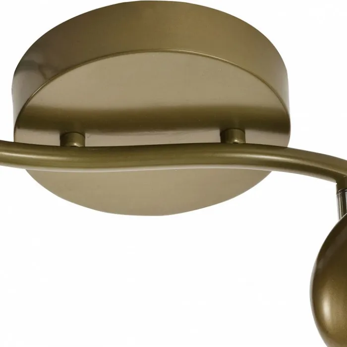 Спот TopLight Carissa TL1244Y-02SG Цвет арматуры золото Цвет плафонов золото от ImperiumLoft