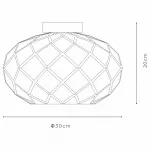 Потолочный светильник Lucide Wolfram 21117/30/02 