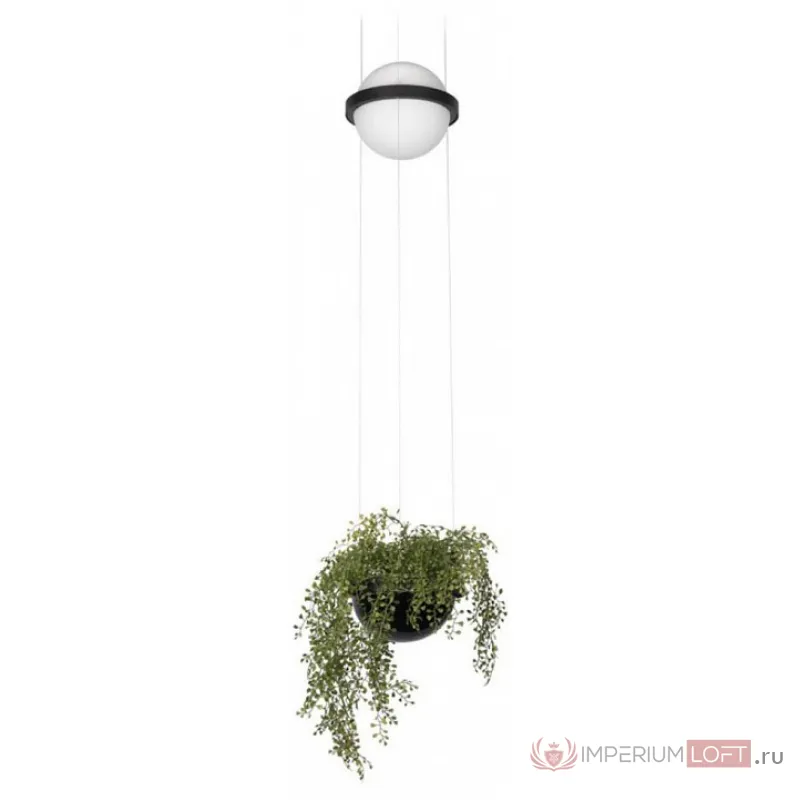 Подвесной светильник Loft it Jardin 10121/B от ImperiumLoft