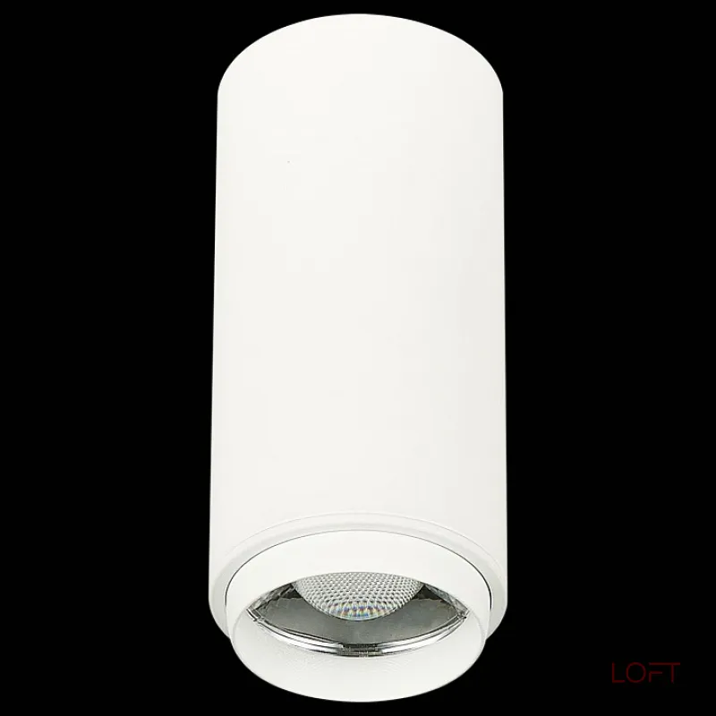 Накладной светильник ST-Luce Zoom ST600.532.10 Цвет плафонов белый