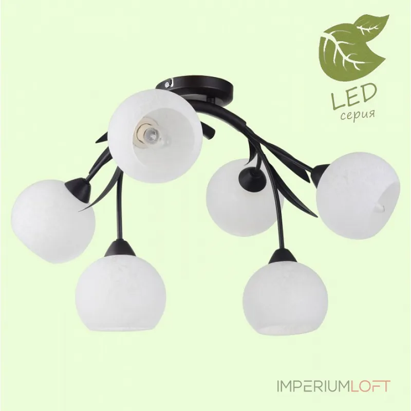 Потолочная люстра Lussole Bagheria GRLSF-6283-06