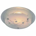 Потолочный светильник Arte Lamp Belle A4890PL-2CC 