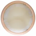 Потолочный светильник TopLight Ginger TL9620Y-00PN 