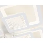 Потолочная люстра Ambrella Acrylica Original FA4283