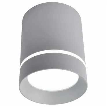 Накладной светильник Arte Lamp 1909 A1909PL-1GY Цвет арматуры серый Цвет плафонов серый