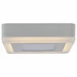 Накладной светильник Arte Lamp Altair A7709PL-2WH Цвет арматуры белый Цвет плафонов белый
