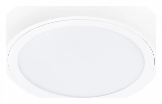 Накладной светильник Lightstar Urbano 216902