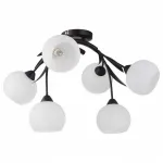 Потолочная люстра Lussole Bagheria GRLSF-6283-06