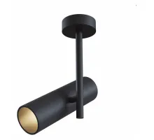 Потолочный светильник Technical C020CL-01B