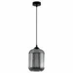 Подвесной светильник Arte Lamp Arwen A1902SP-1BK 