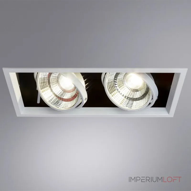 Встраиваемый светильник Arte Lamp Merga A8450PL-2WH Цвет арматуры Белый