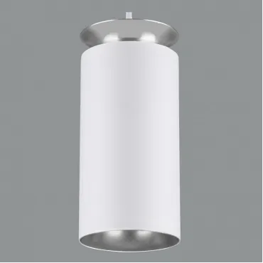 Подвесной светильник Elektrostandard DLS021 a045502 Цвет арматуры белый Цвет плафонов белый
