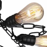 Потолочная люстра Arte Lamp 9344 A9344PL-5BK 