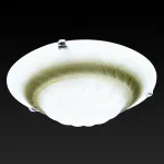 Потолочный светильник TopLight Clare TL9101Y-02BR 