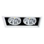 Встраиваемый светильник Arte Lamp Merga A8450PL-2WH Цвет арматуры Белый