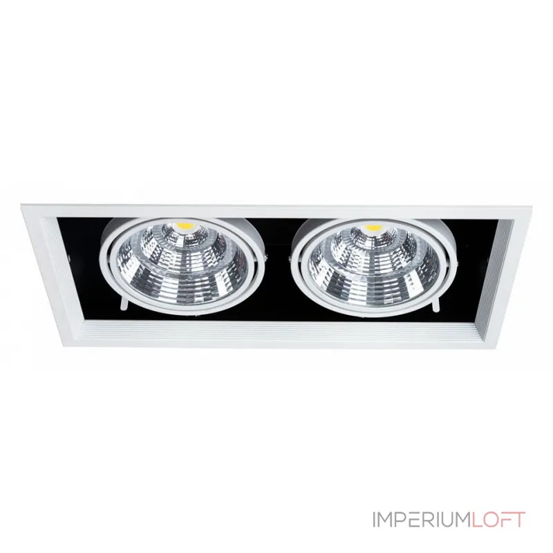Встраиваемый светильник Arte Lamp Merga A8450PL-2WH Цвет арматуры Белый
