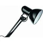 Настольная лампа офисная Arte Lamp Junior A1330LT-1BK Цвет арматуры черный Цвет плафонов черный от ImperiumLoft
