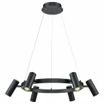 Подвесная люстра Vele Luce Neo 742 VL10012P06 