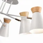 Потолочная люстра EVOLUCE Alfeo SLE1252-502-06 от ImperiumLoft