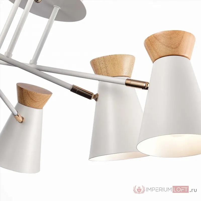 Потолочная люстра EVOLUCE Alfeo SLE1252-502-06 от ImperiumLoft